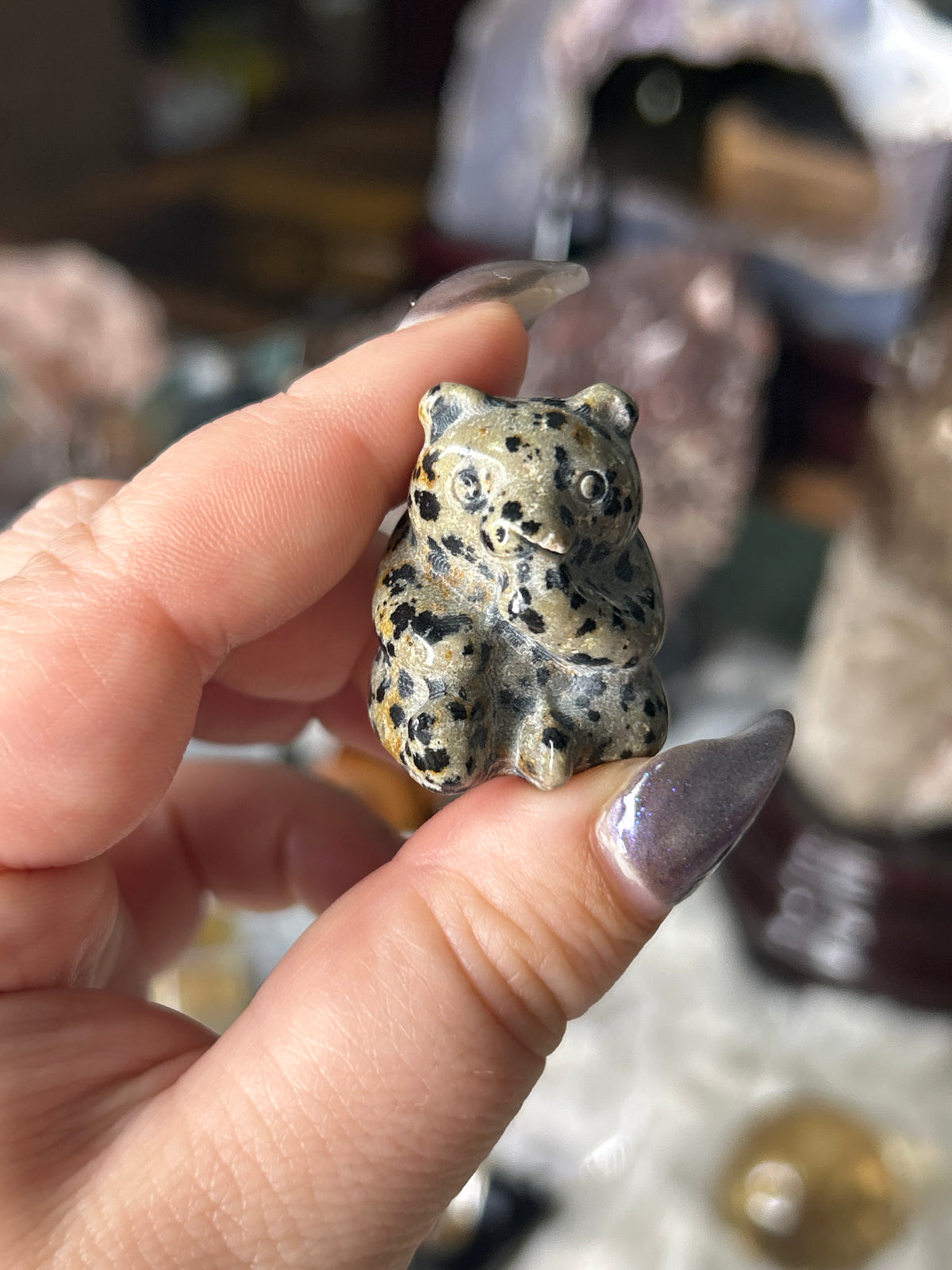 Dalmation Jasper Panda