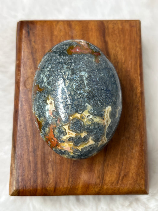 Marcasite & Agate Palm Stone- Indonesia