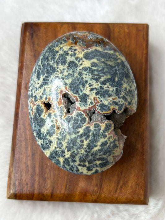 Marcasite & Agate Palm Stone- Indonesia
