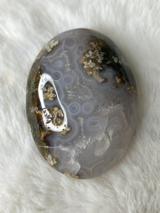 Scenic Moss Agate Palm