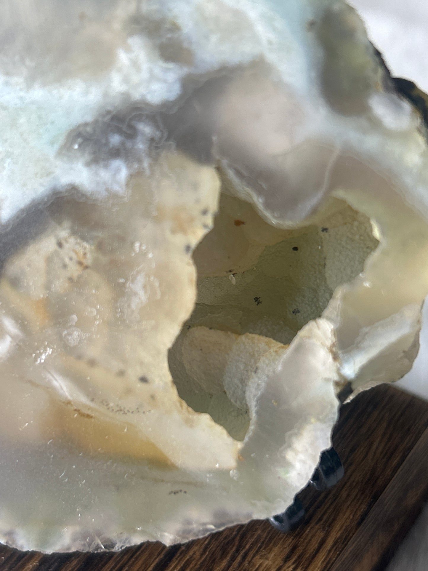 Green Flower Agate Slab