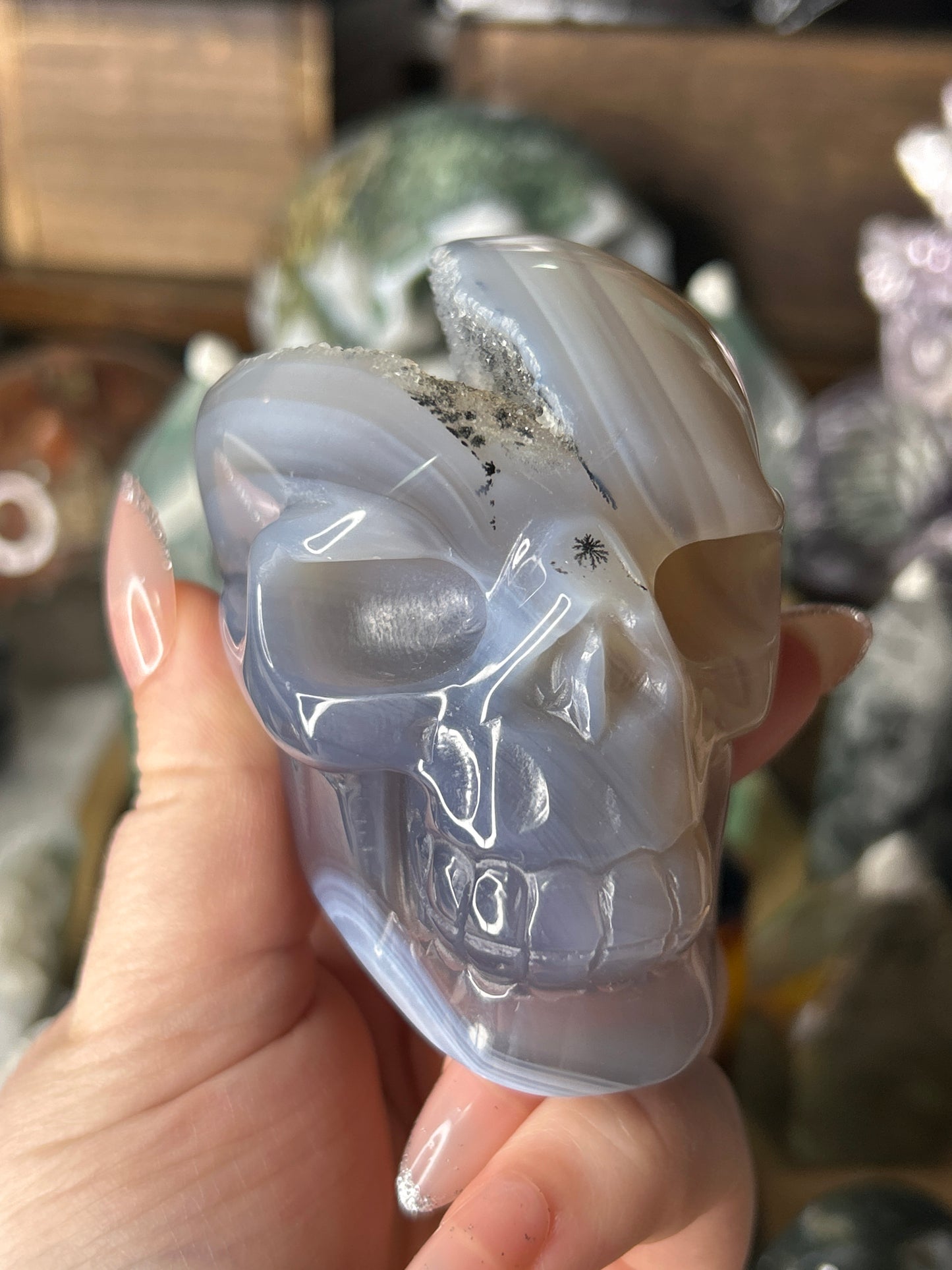 Druzy Agate Skull