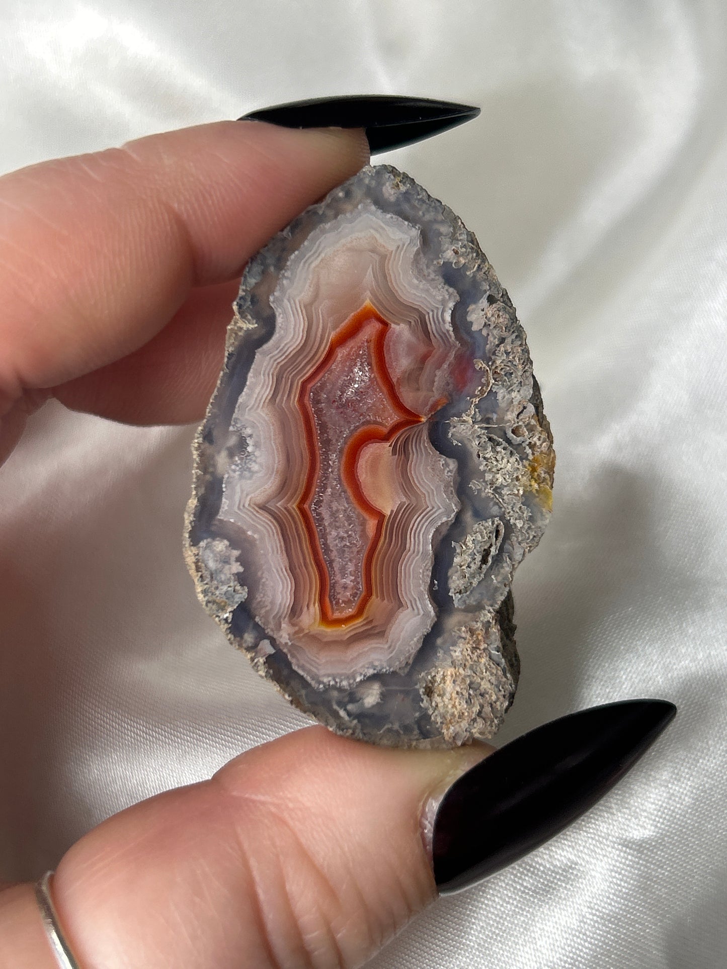 Fire & Frost Laguna Agate Half Nodule