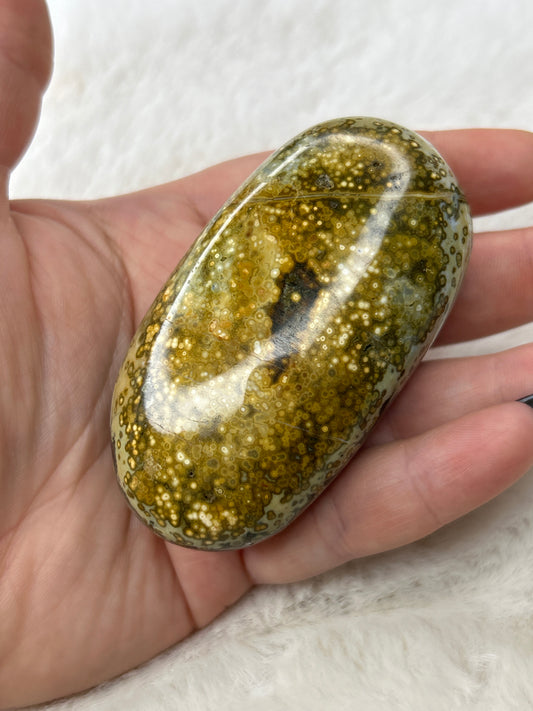 Orbicular Ocean Jasper Palm Stone