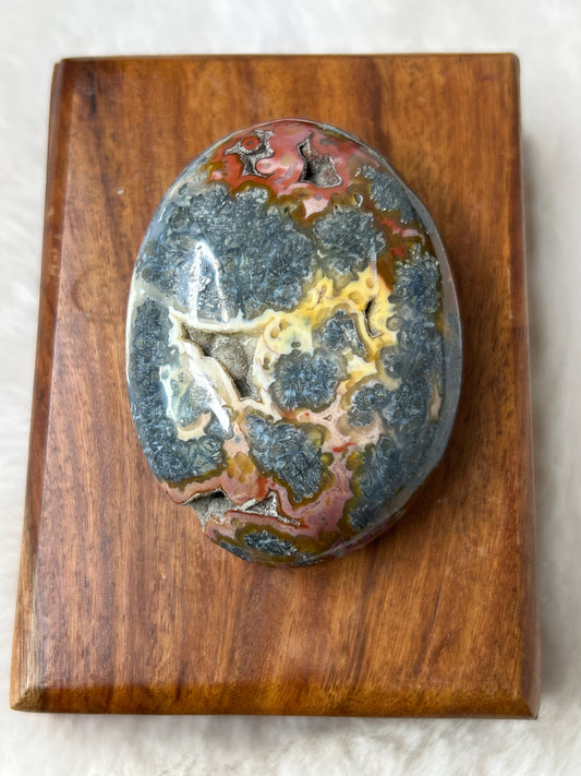Marcasite & Agate Palm Stone - Indonesia