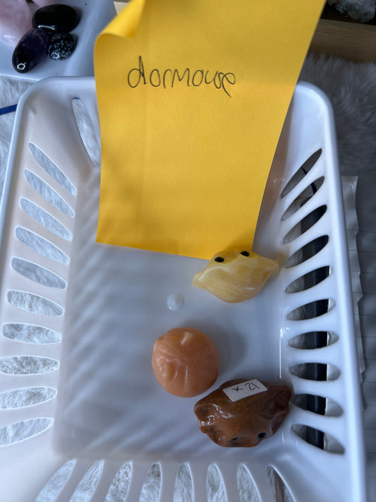 Dormouse