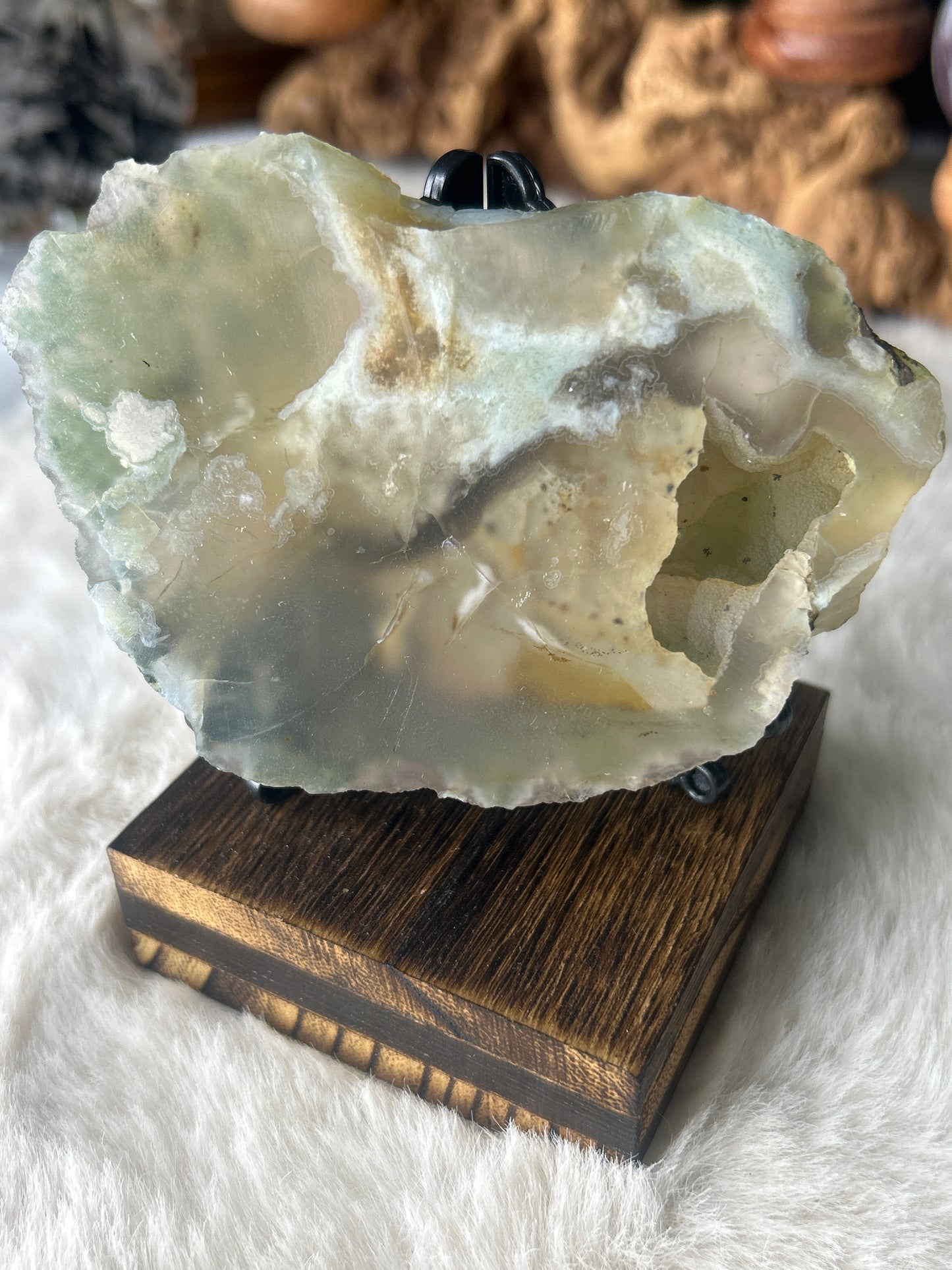Green Flower Agate Slab