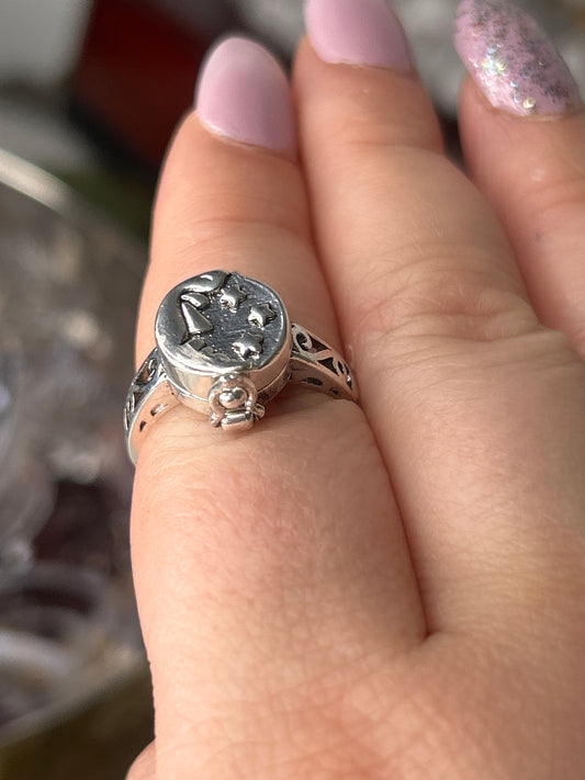 Stainless Steel Poison Ring