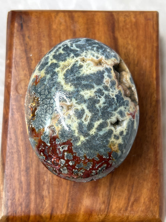 Marcasite & Agate Palm Stone- Indonesia