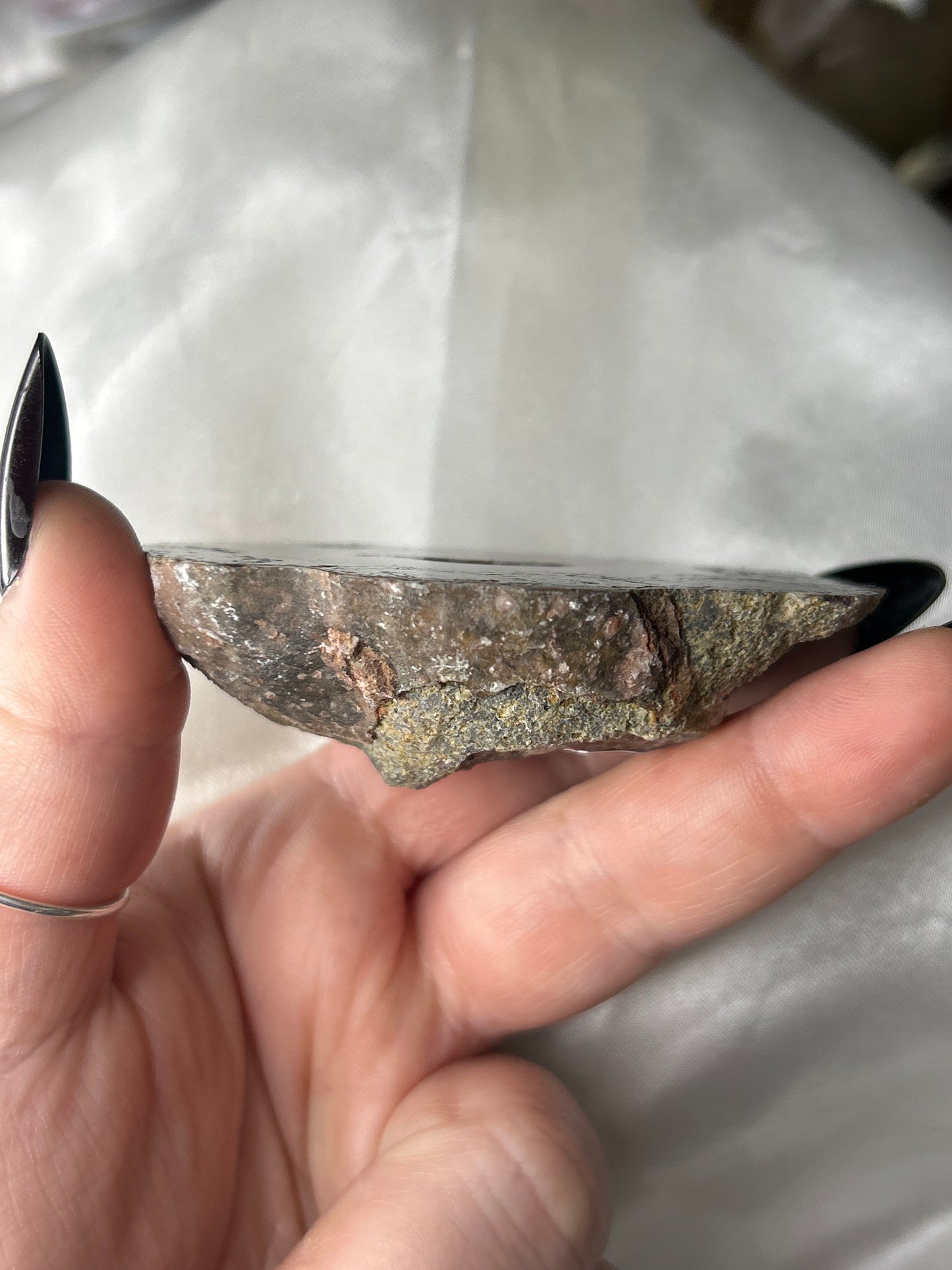 Laguna Agate Polished Half Nodule