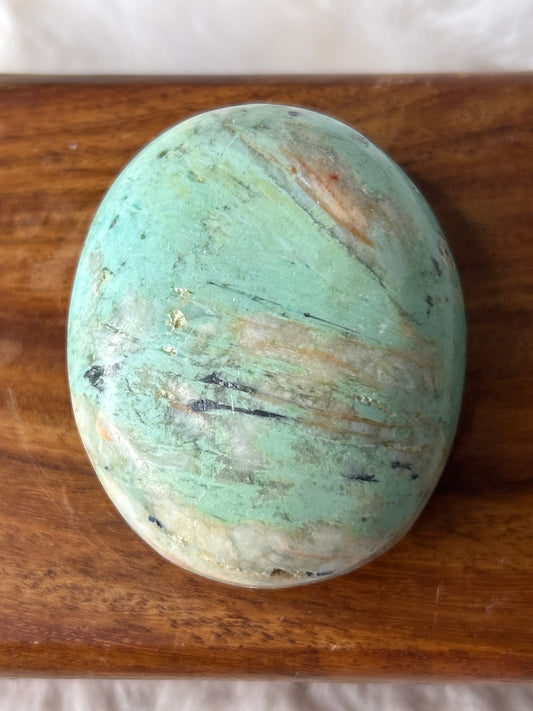 Peruvian Turquoise Palm