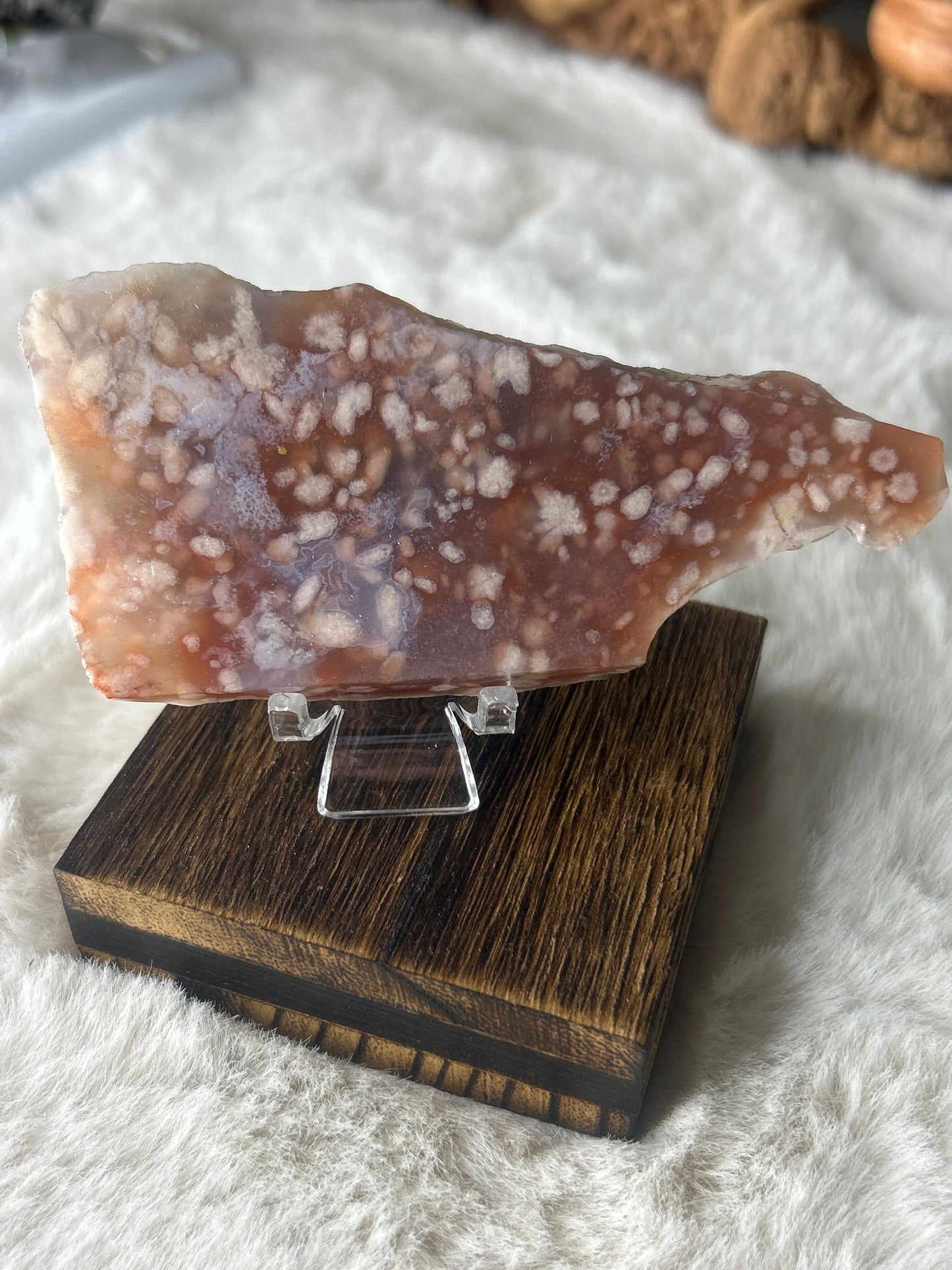 Flower Agate Slab