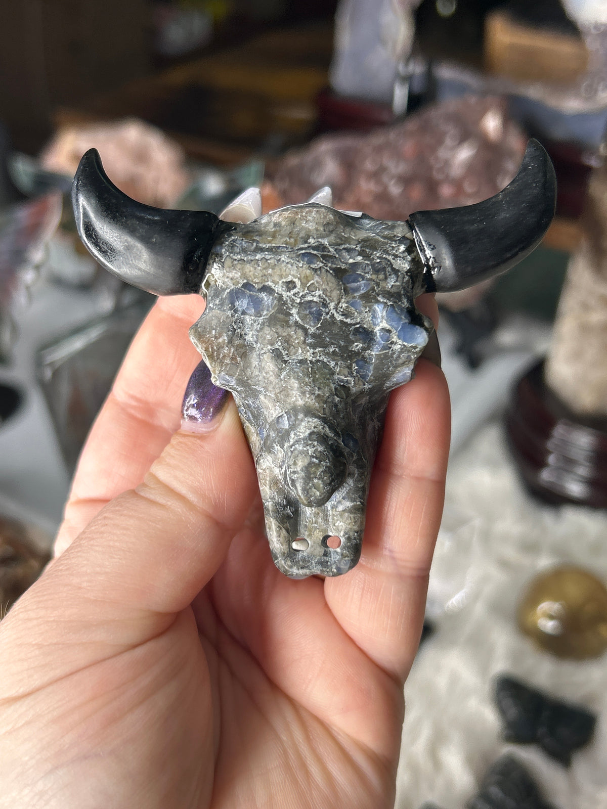 Que Sera Bull Skull
