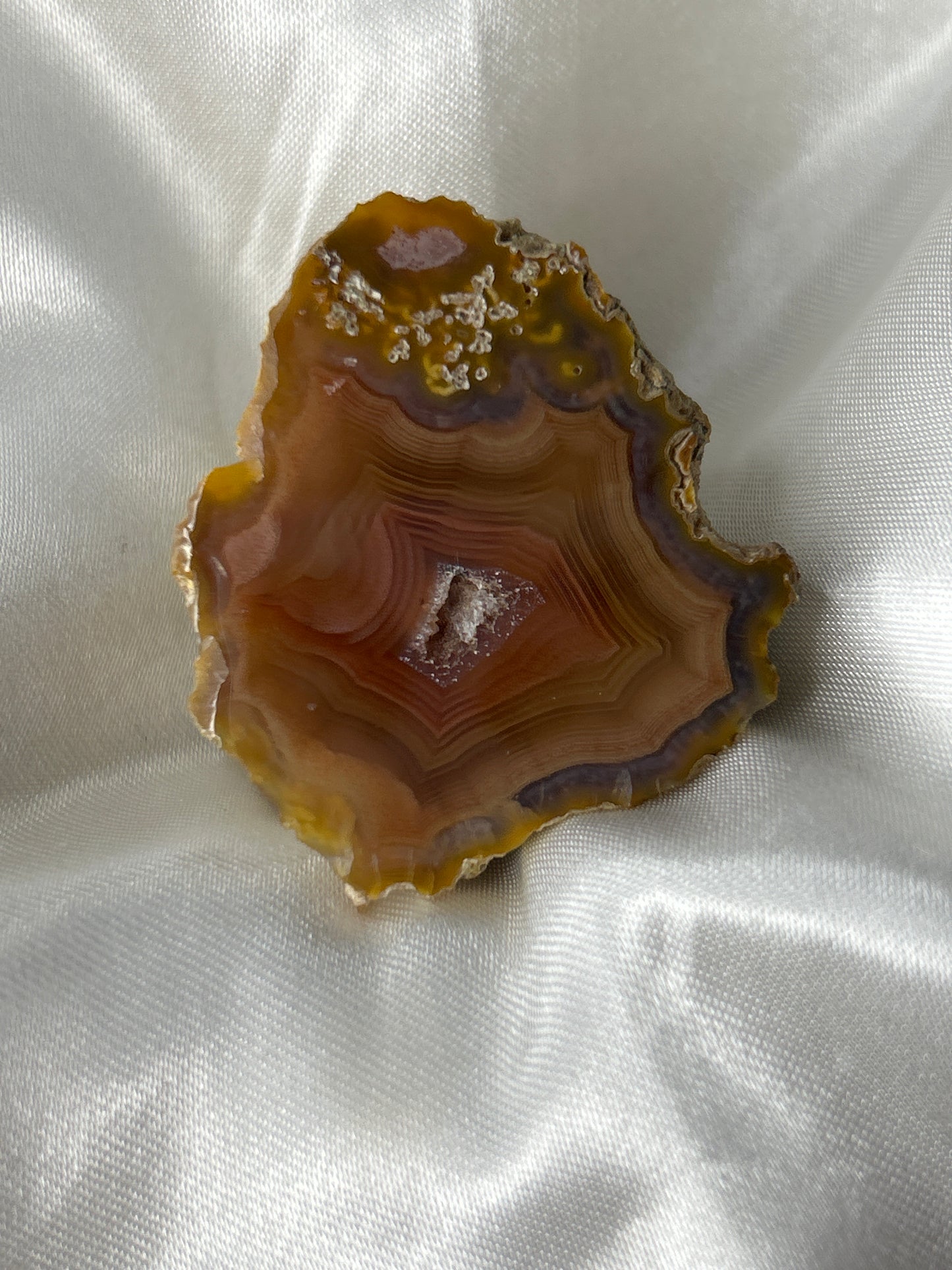 Golden Nectar Laguna Agate