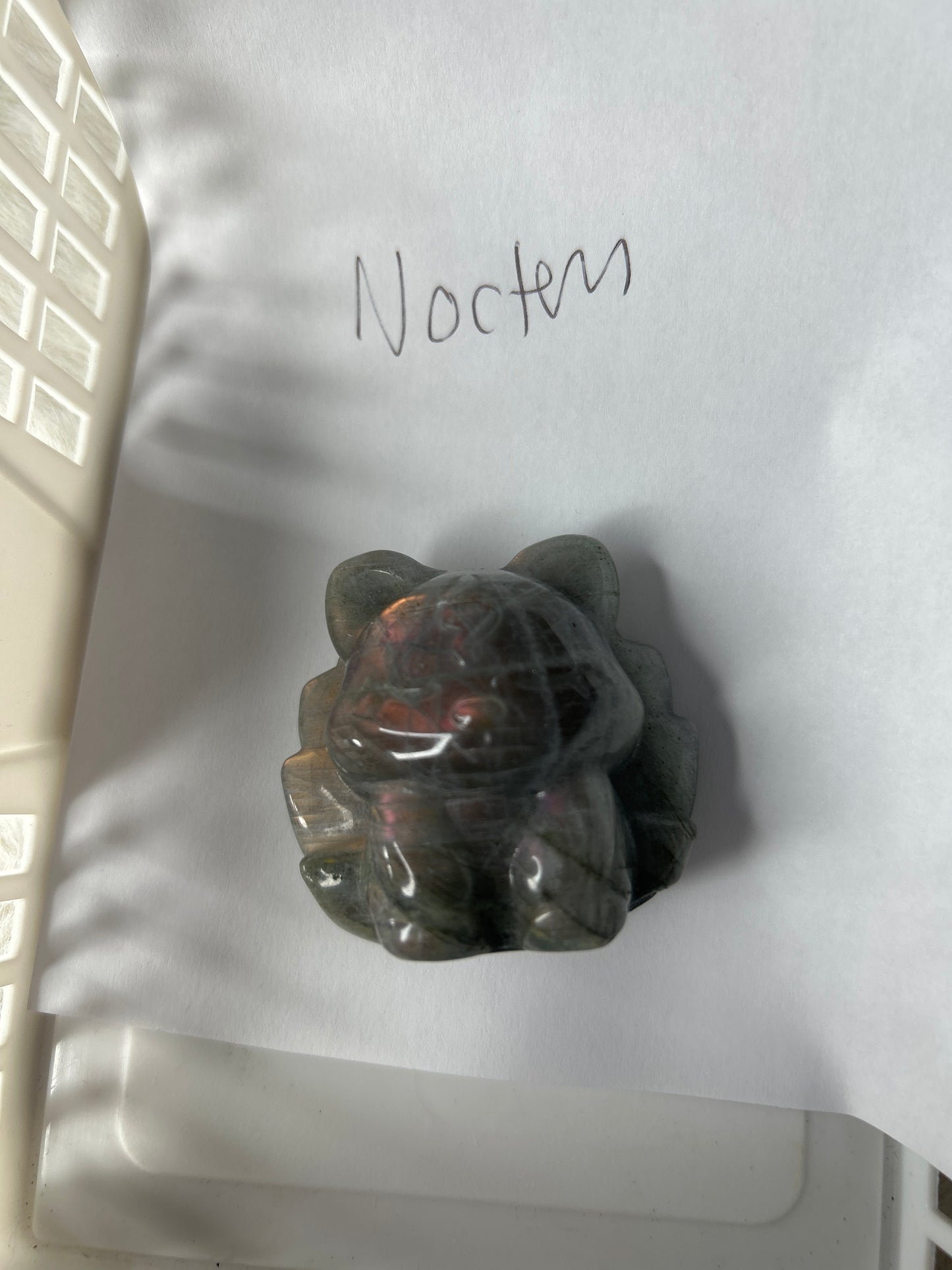 Noctem