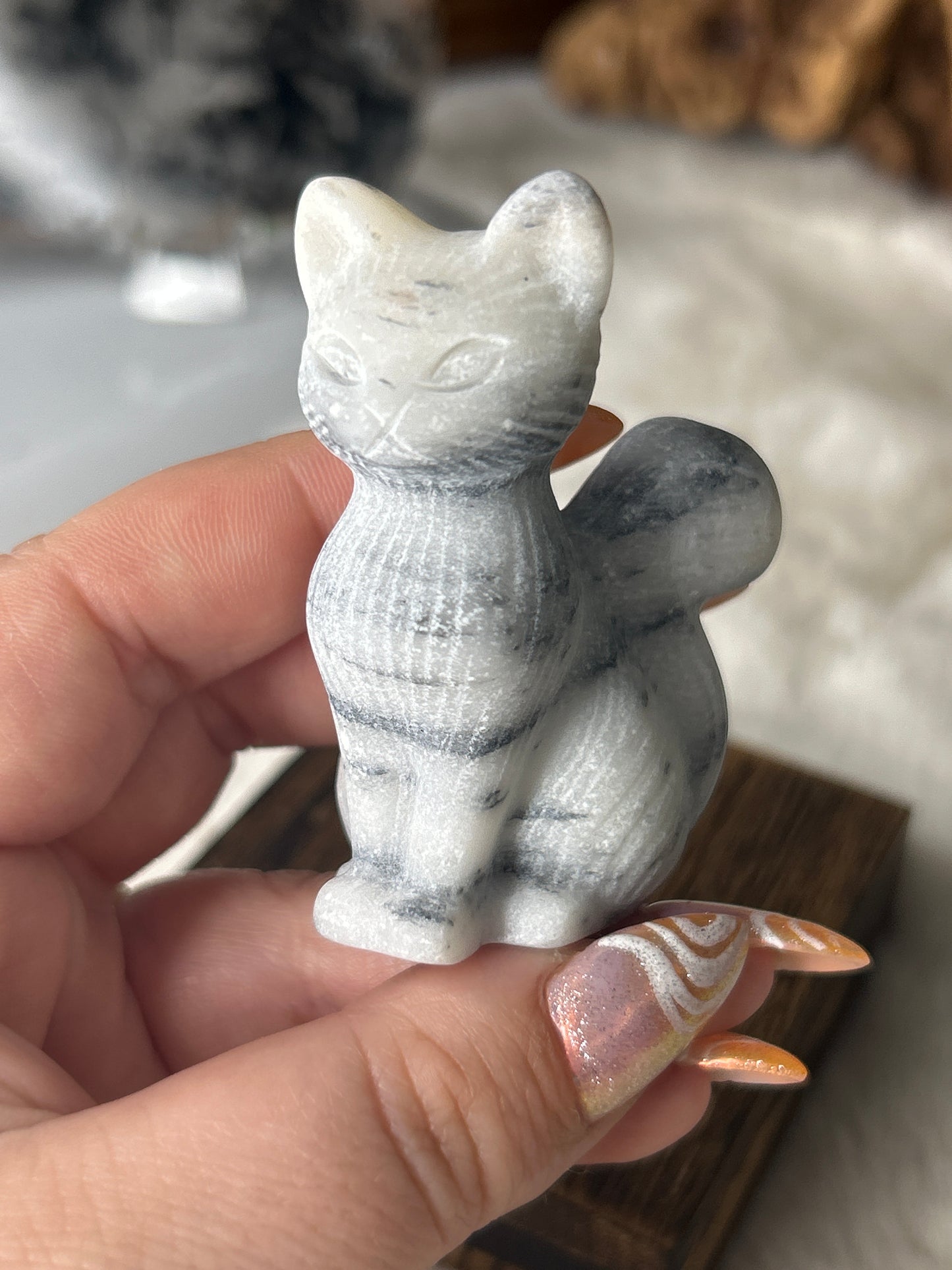 Tai Chi Jasper Cat
