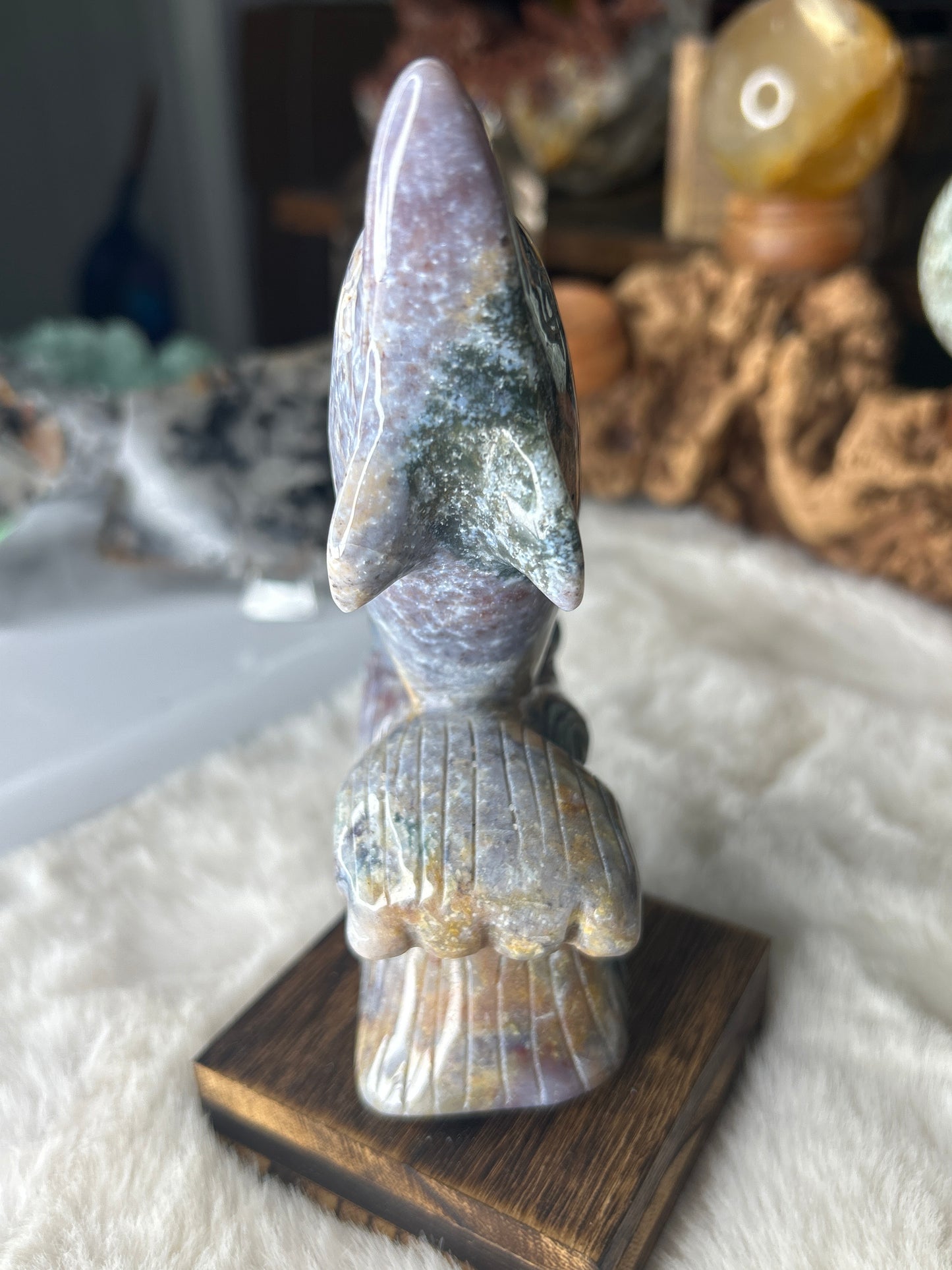 Ocean Jasper Dolphin