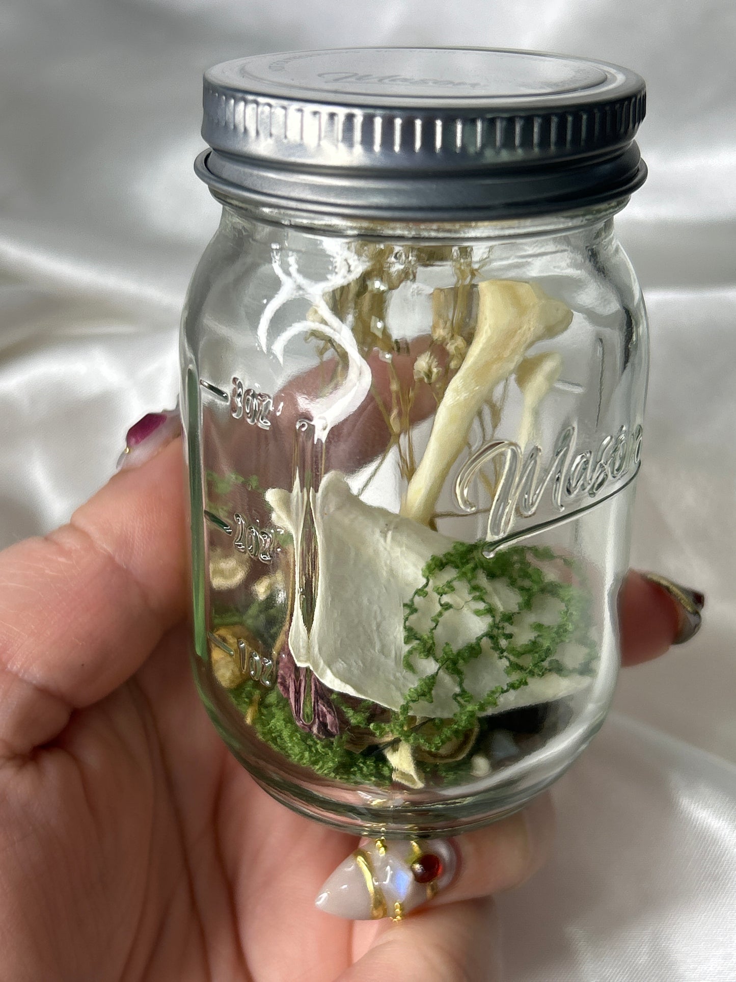 Assorted Mink Bone Mason Jar