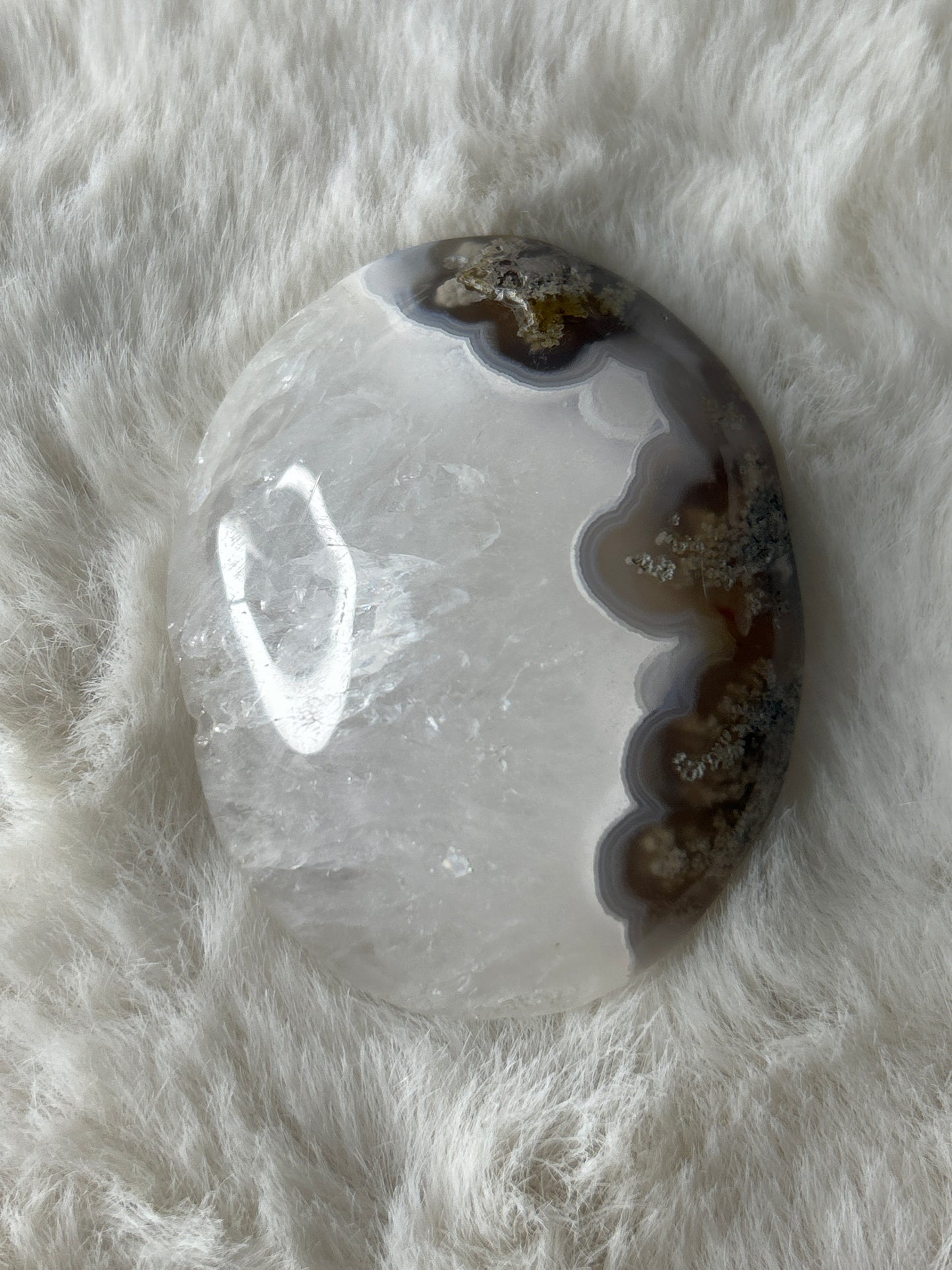 Scenic Moss Agate Palm