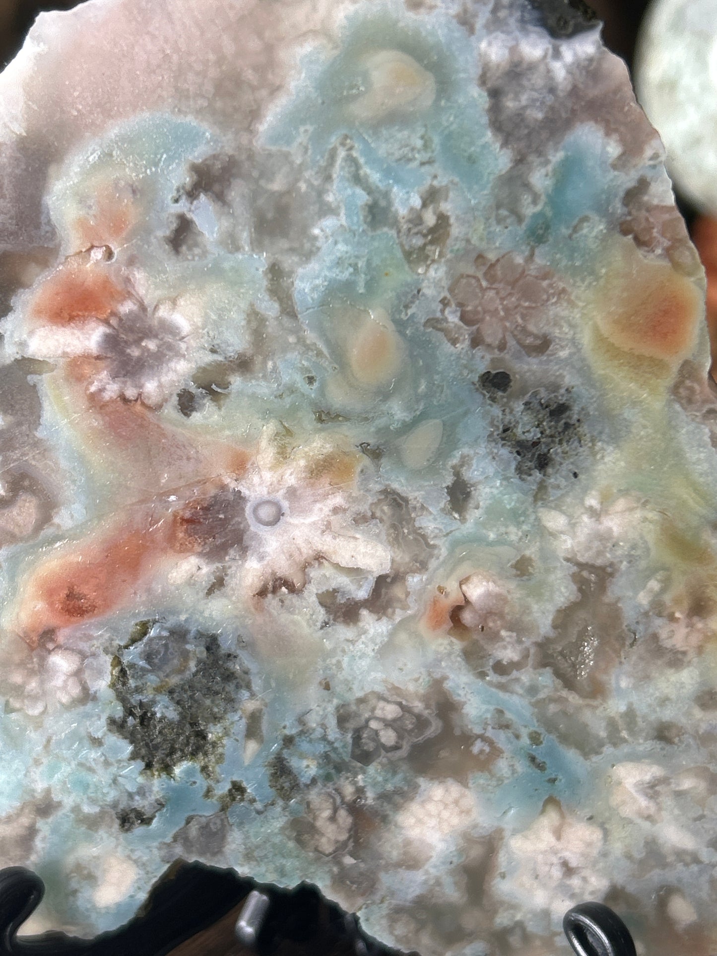 Green Flower Agate Slab