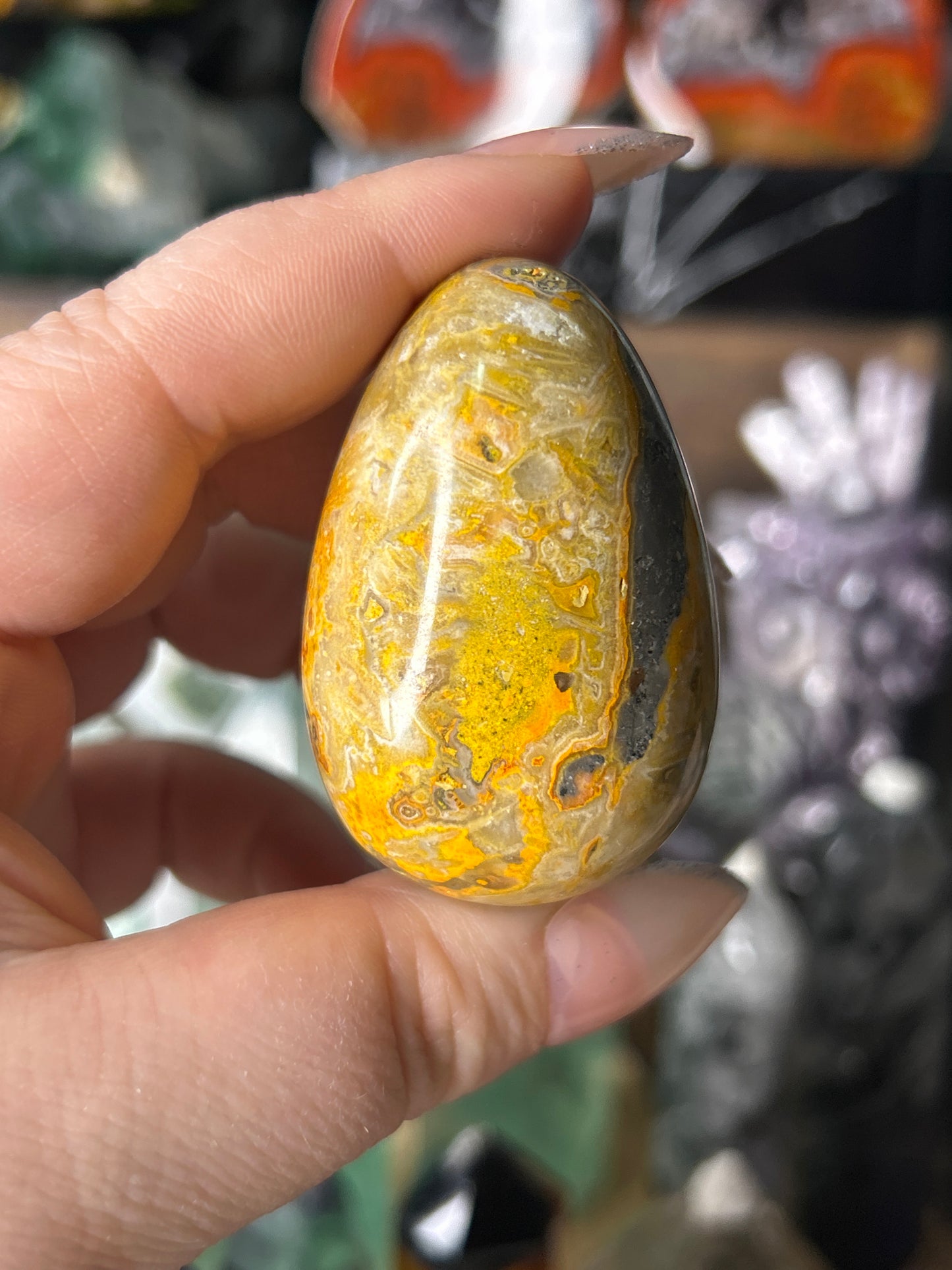 Bumblebee Jasper Egg