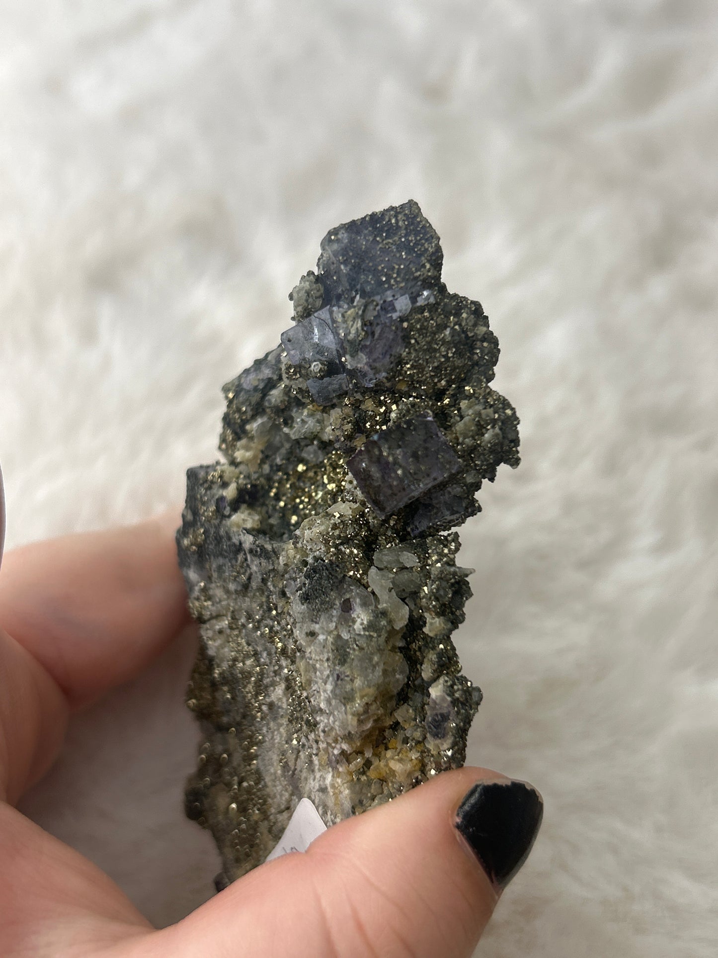 Pyrite on Cubic Fluorite