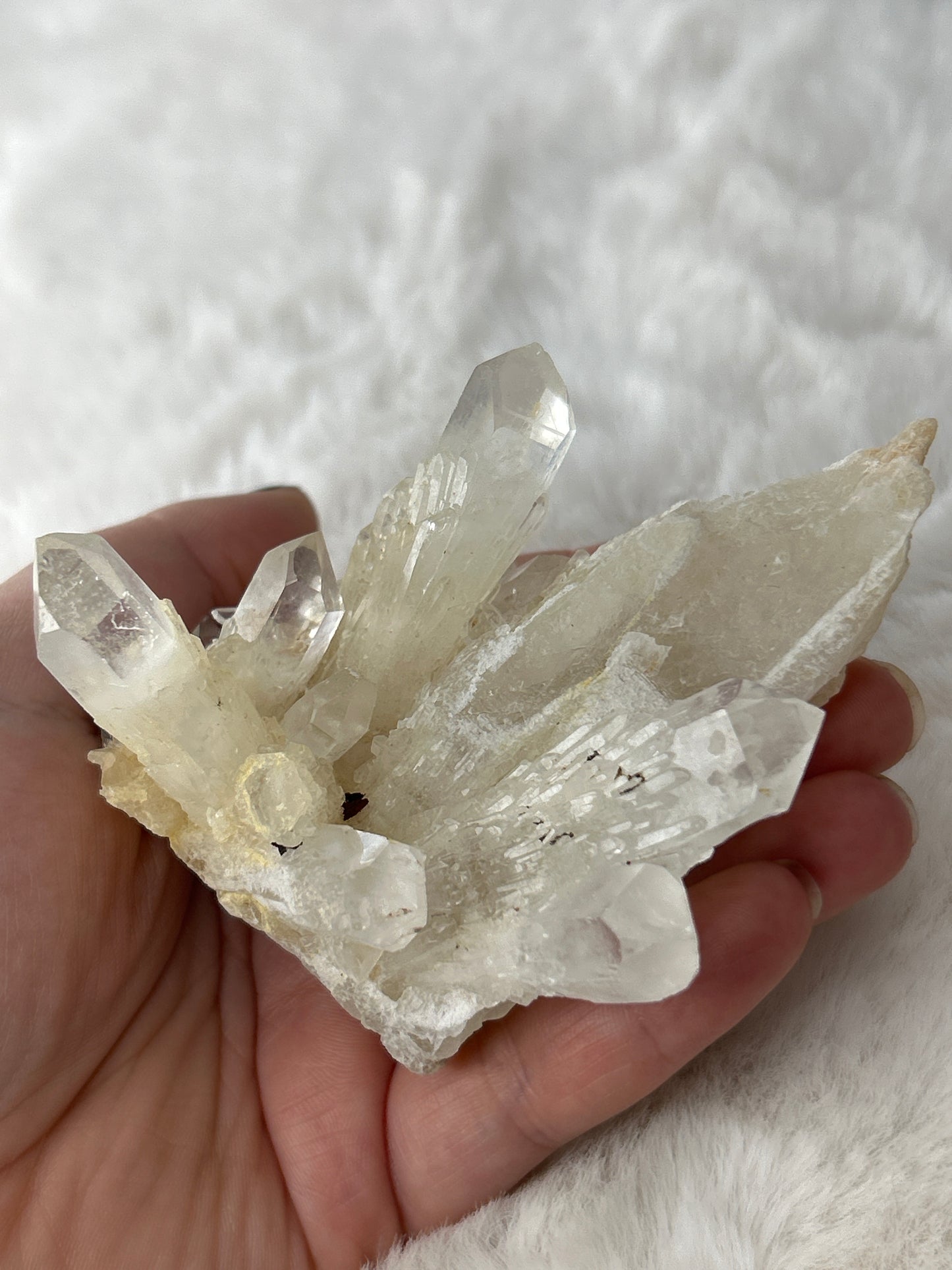 Pineapple Quartz Cluster