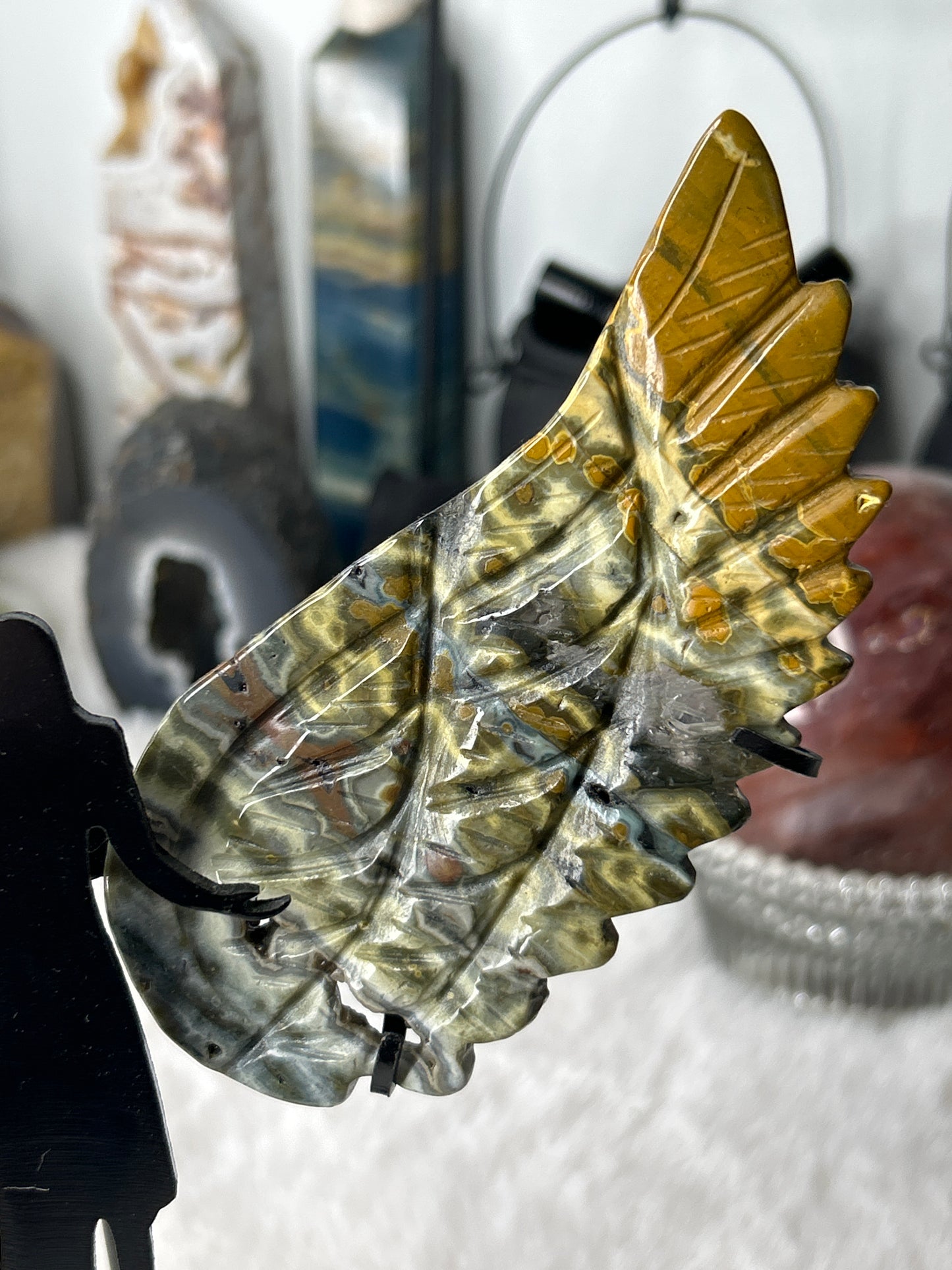 Orbicular Ocean Jasper Angel Wings