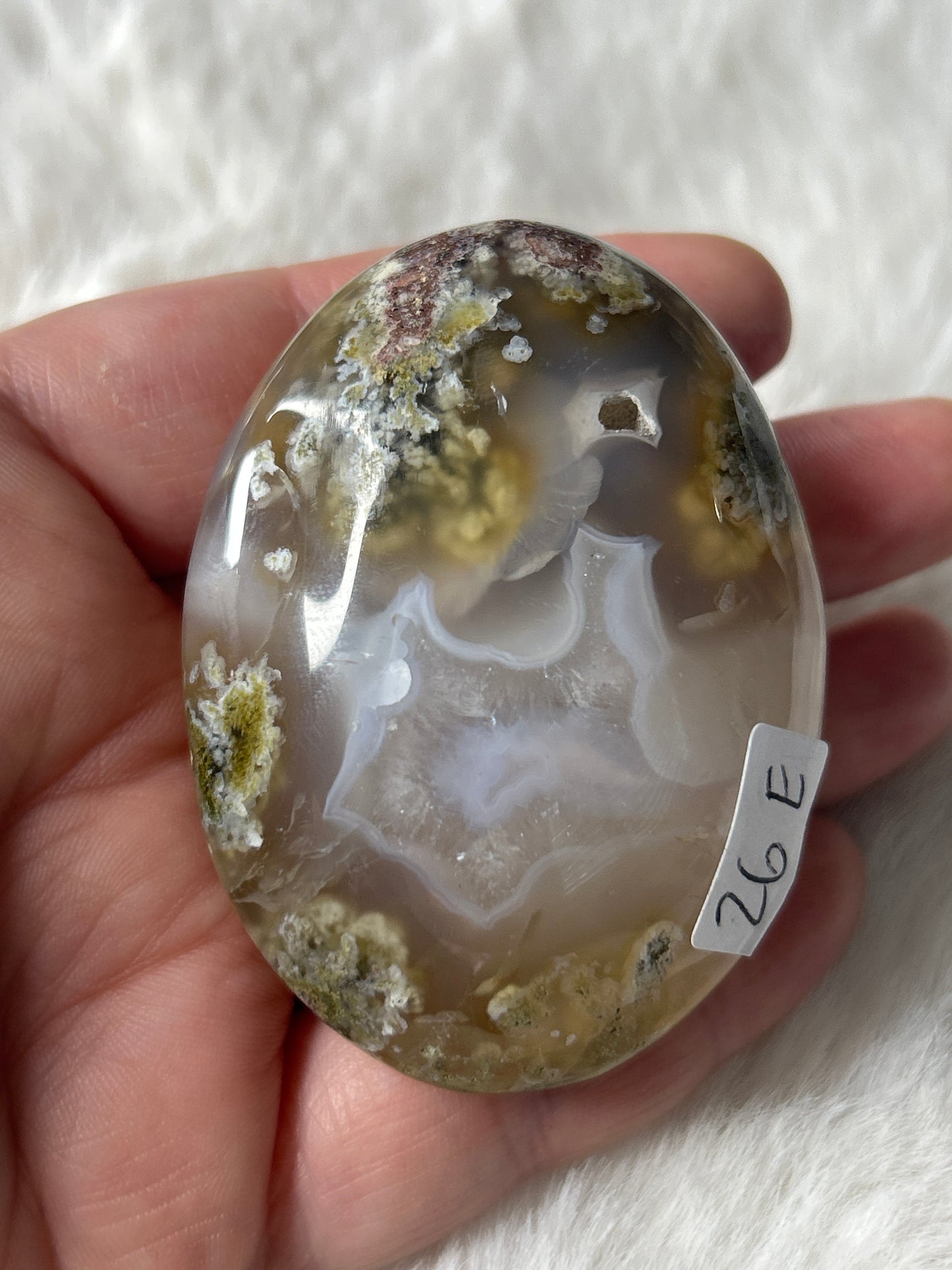Scenic Moss Agate Palm
