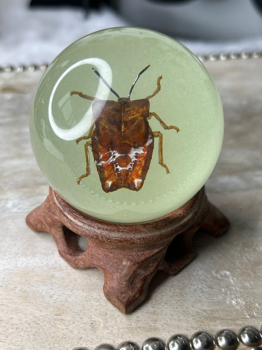 Stink Bug Glow in the Dark Specimen Sphere