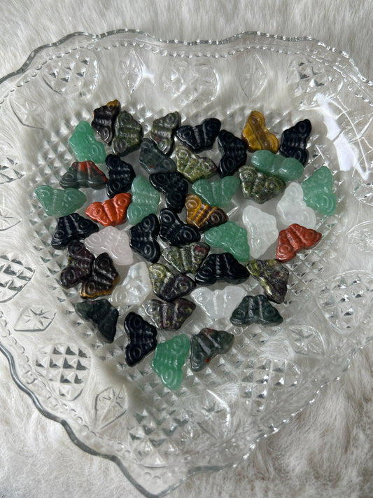 Mystery Mini Butterfly 🦋