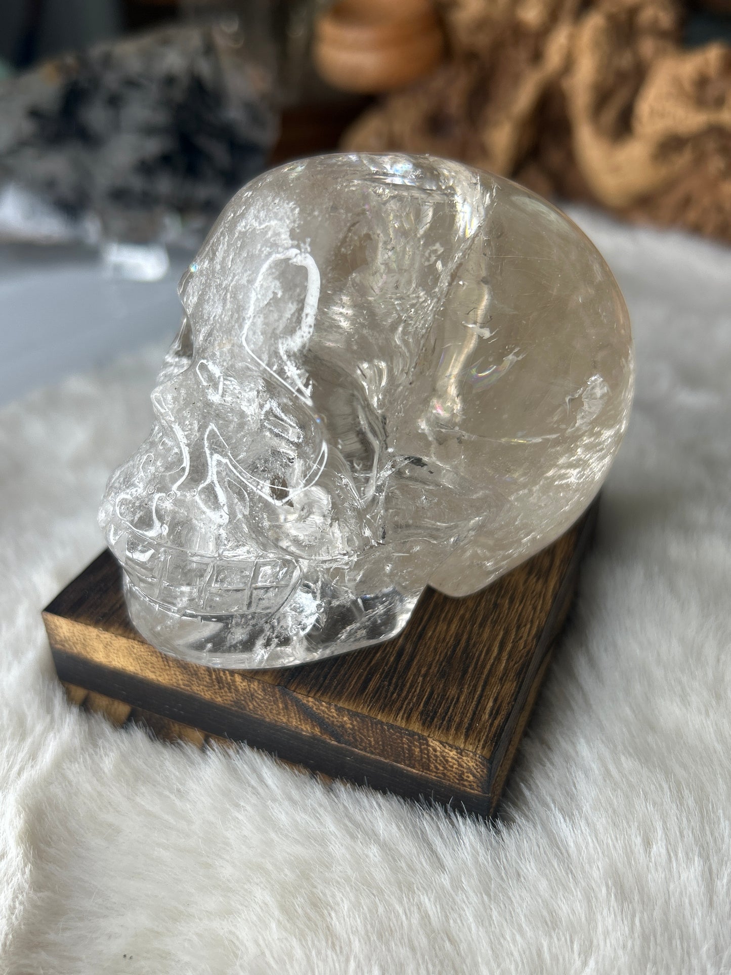 Rutile included Smoky Quartz Skull