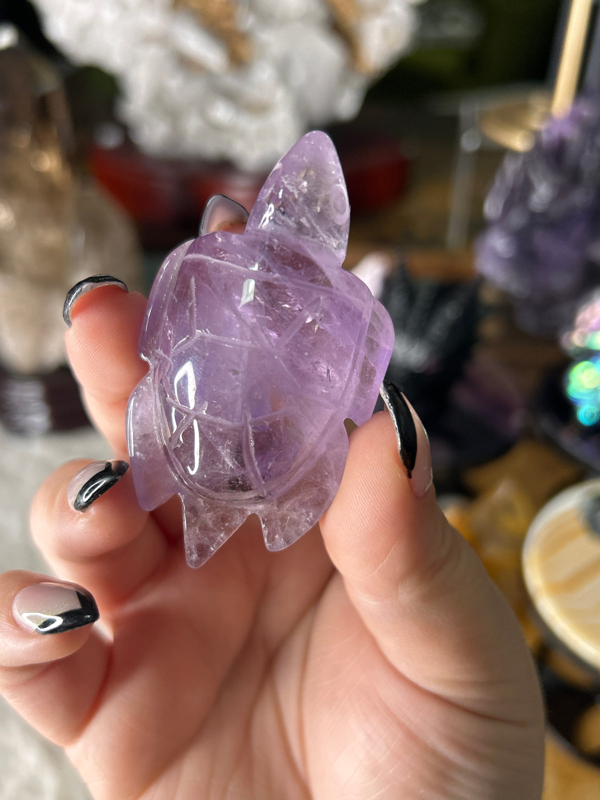Amethyst Sea Turtle