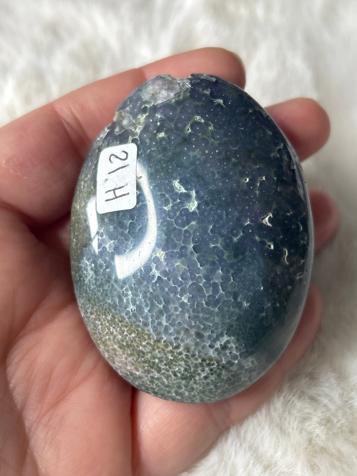 Grape Agate Palm