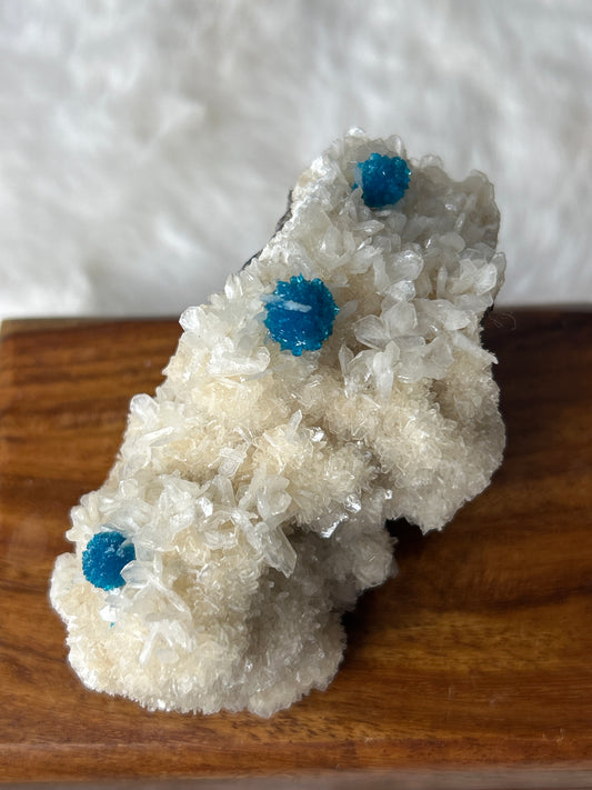 Canvansite- Pune, India