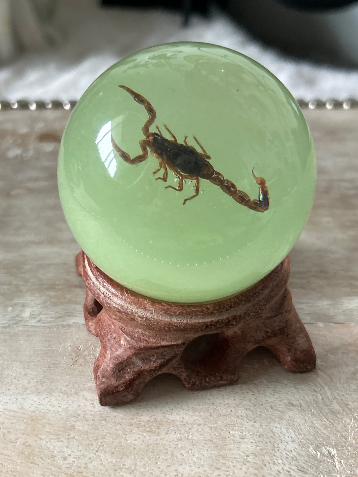 Scorpion Glow in the Dark Specimen Sphere