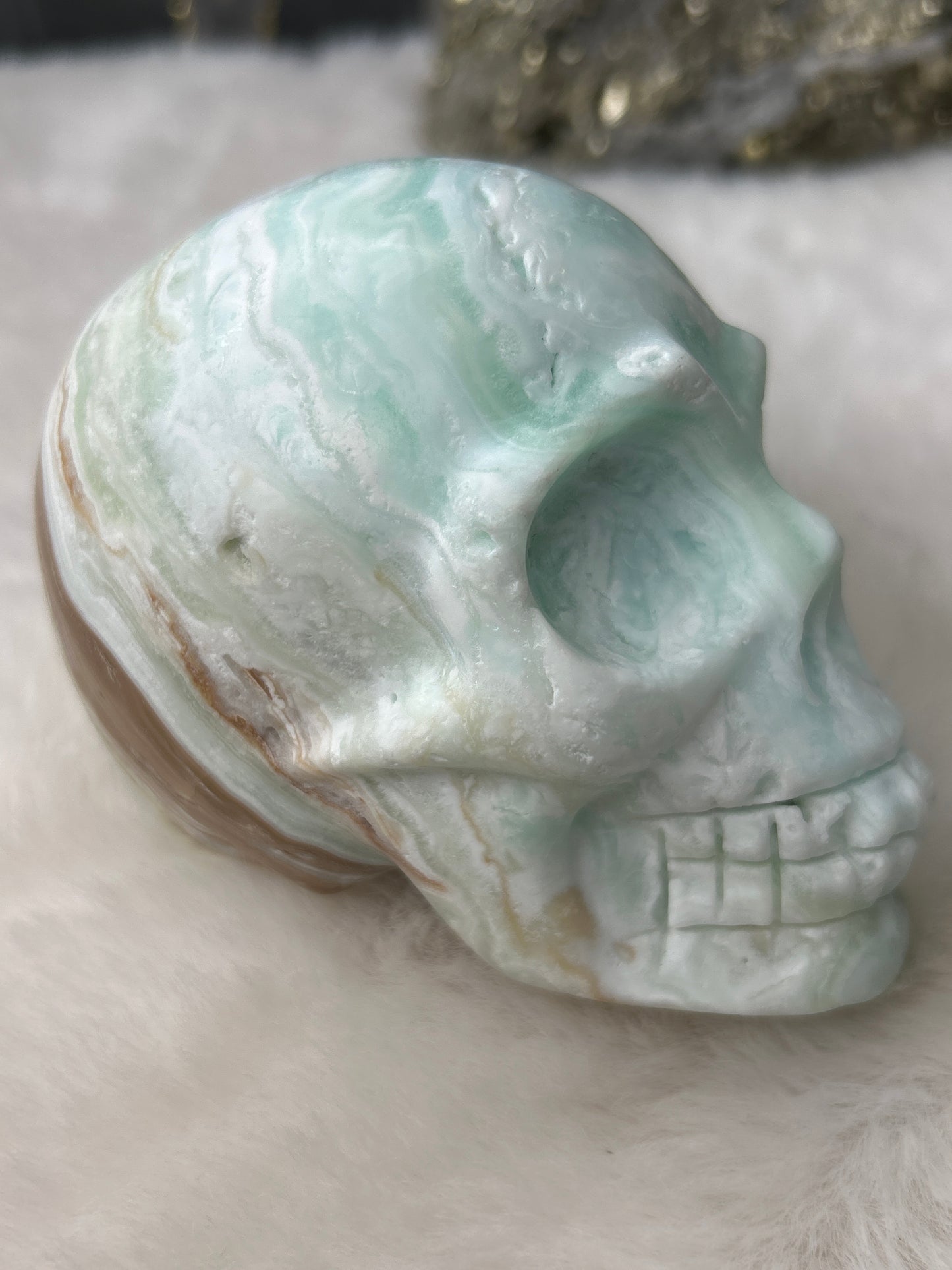 Caribbean Calcite Skull