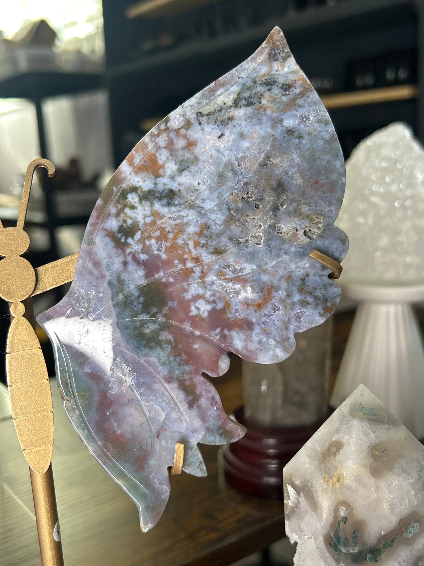 Ocean Jasper Butterfly