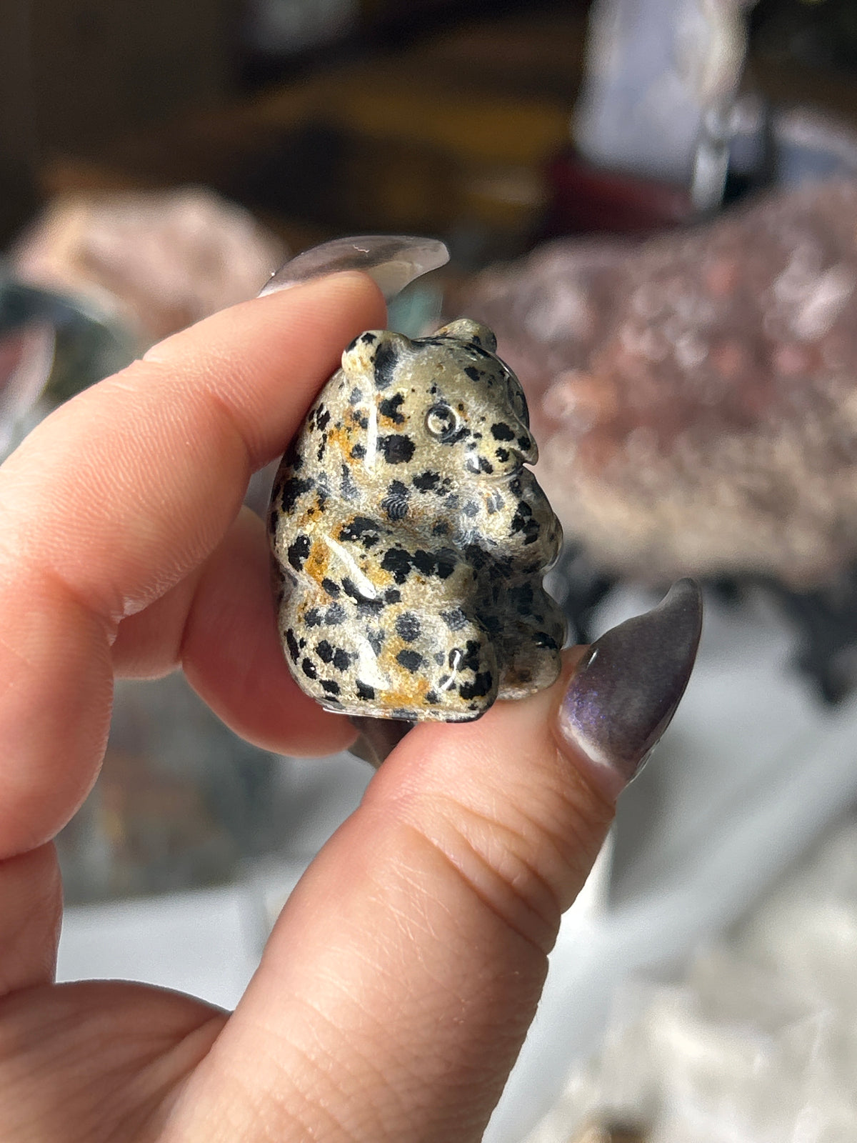 Dalmation Jasper Panda