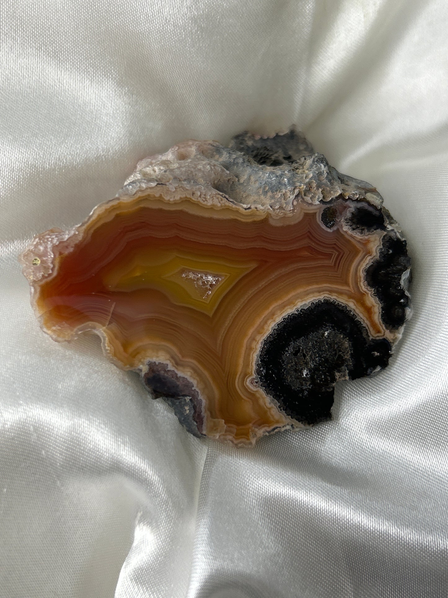 Golden Ember Laguna Agate