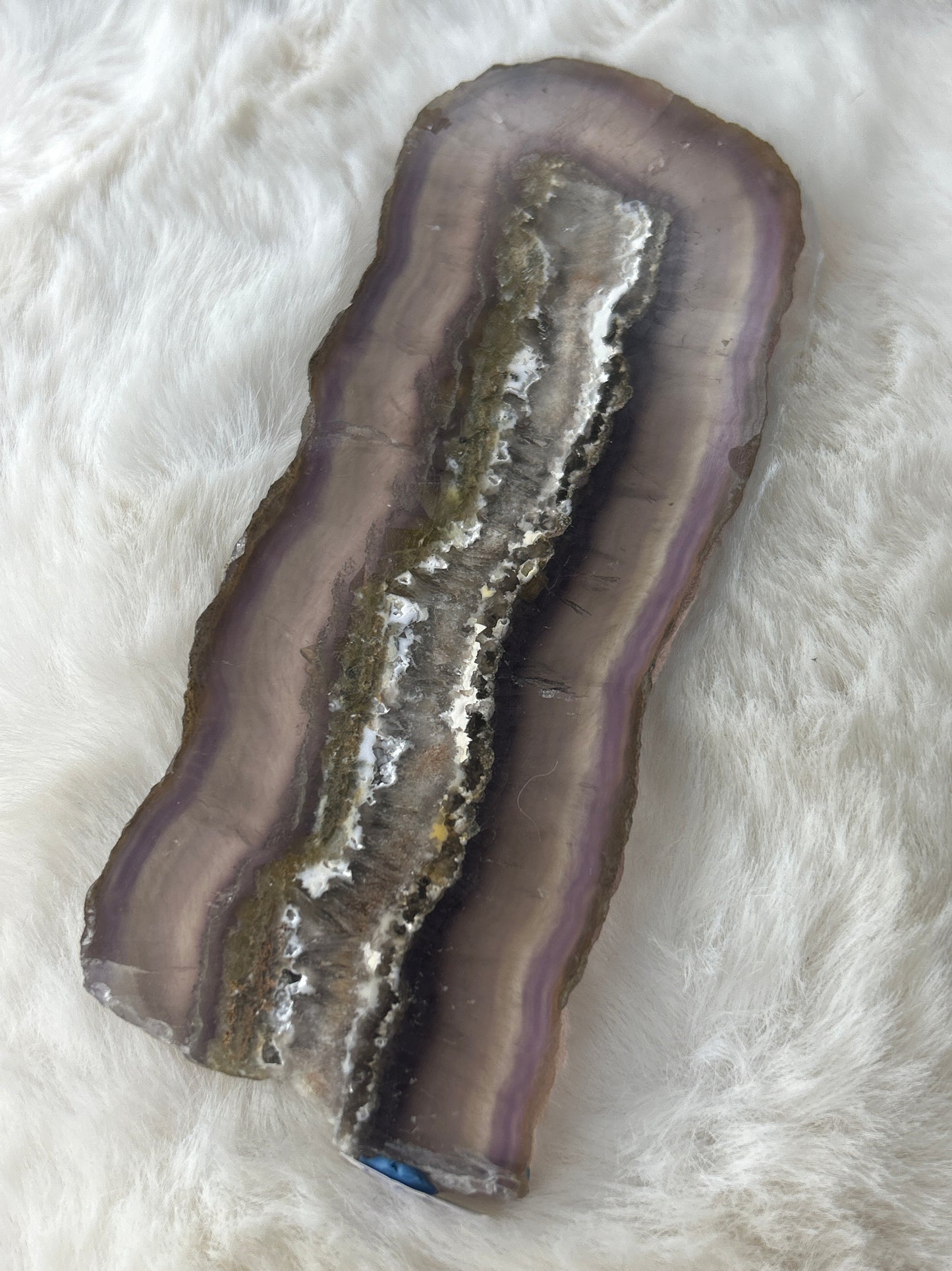 Fluorite with Barite and Pyrite Slab