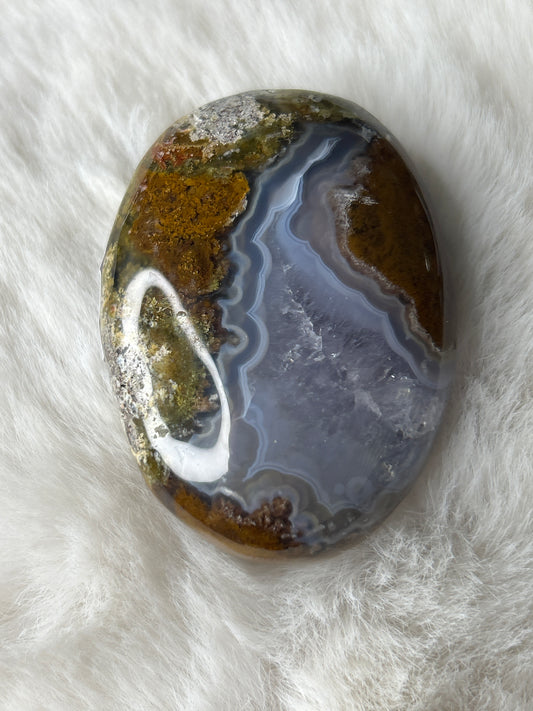 Scenic Moss Agate Palm