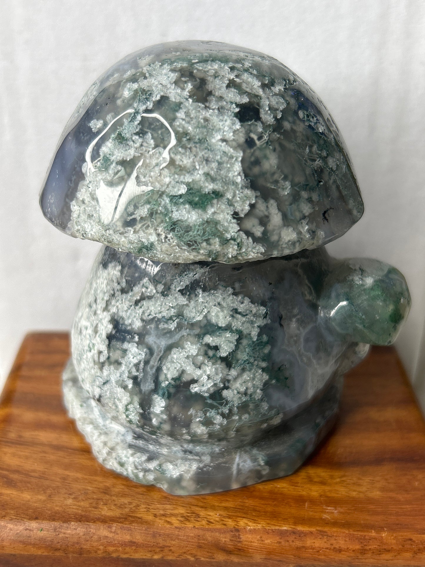 Moss Agate Mushroom