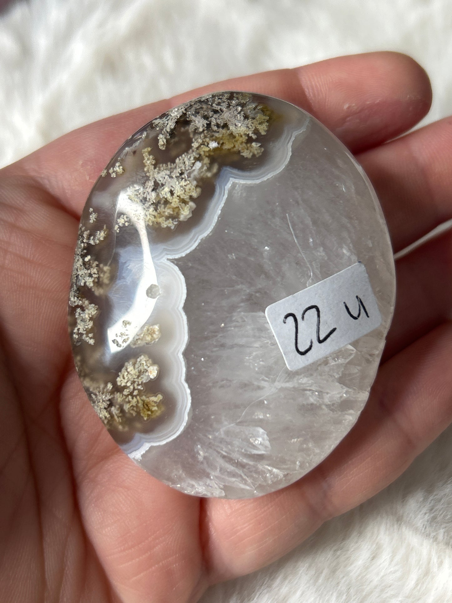 Scenic Moss Agate Palm