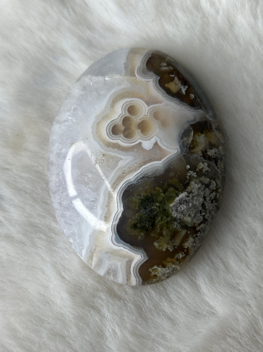 Scenic Moss Agate Palm