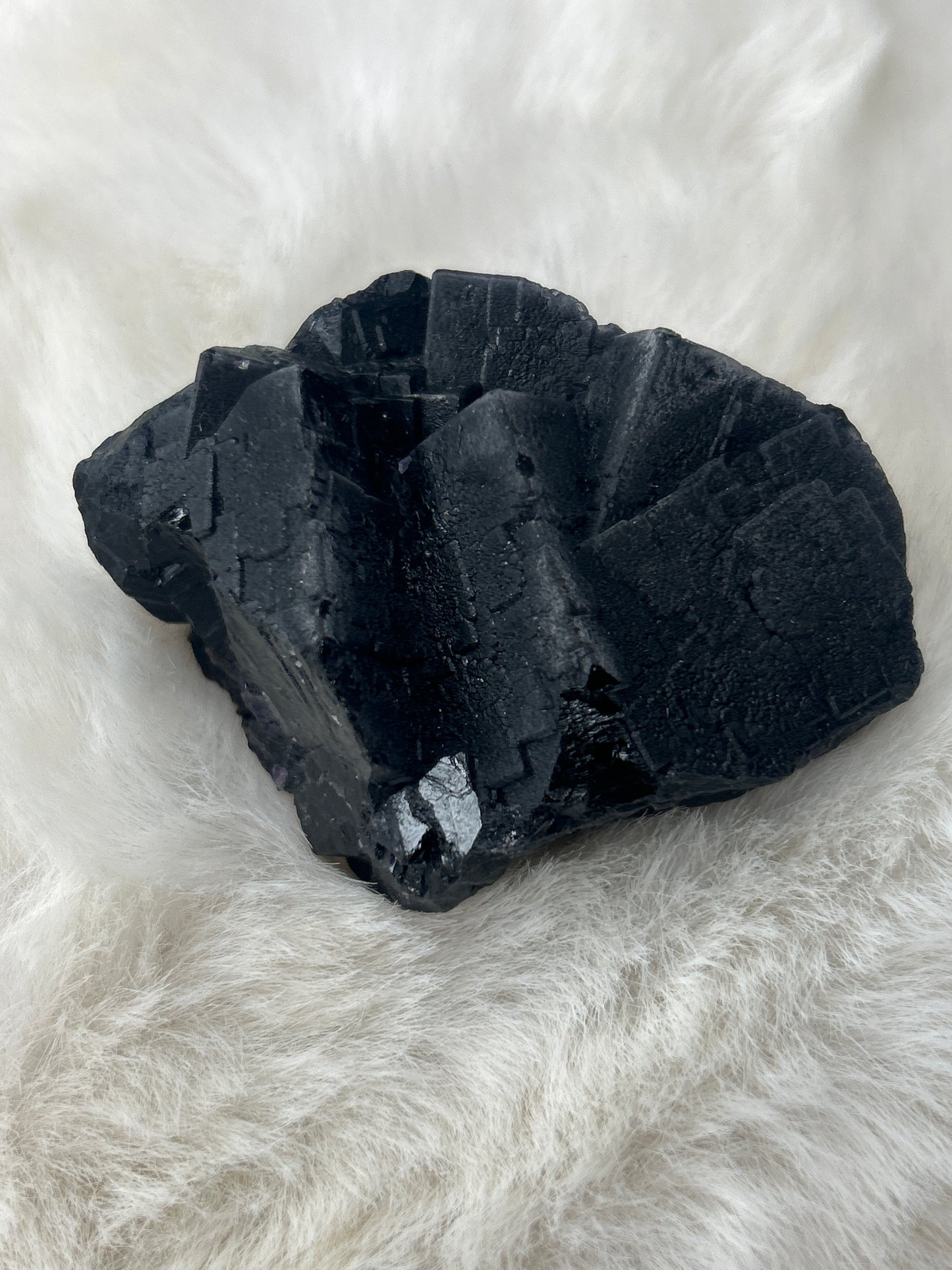 Black Rose Fluorite