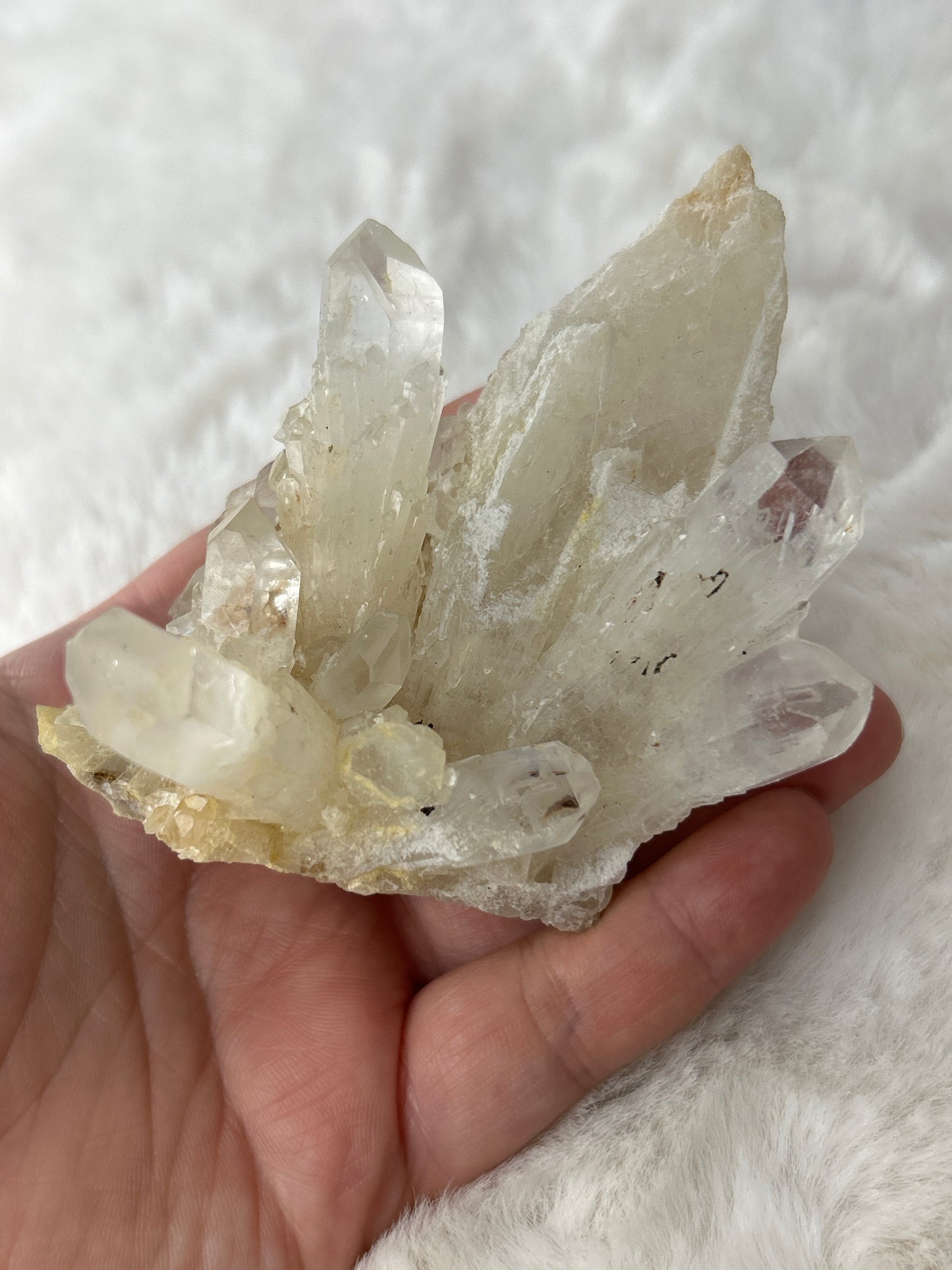 Pineapple Quartz Cluster