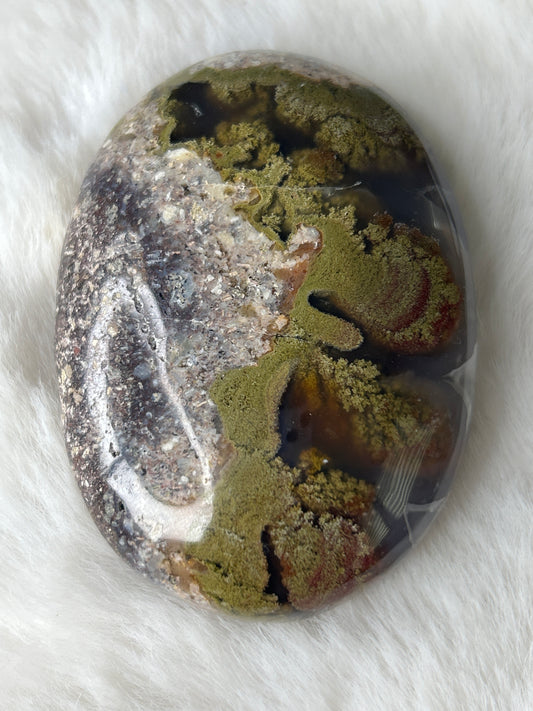 Scenic Moss Agate Palm
