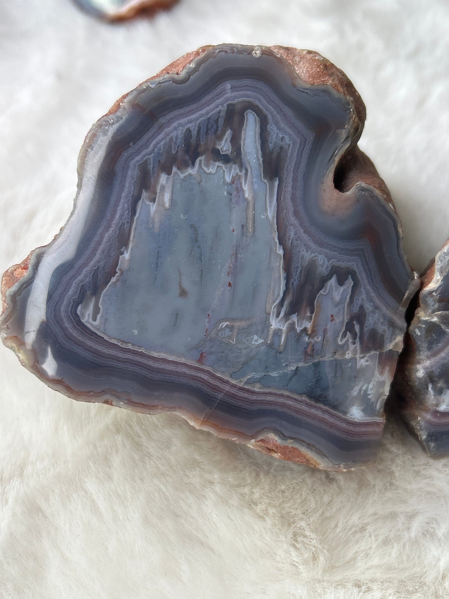 Red Sashe River Agate *Pair* - Zimbabwe