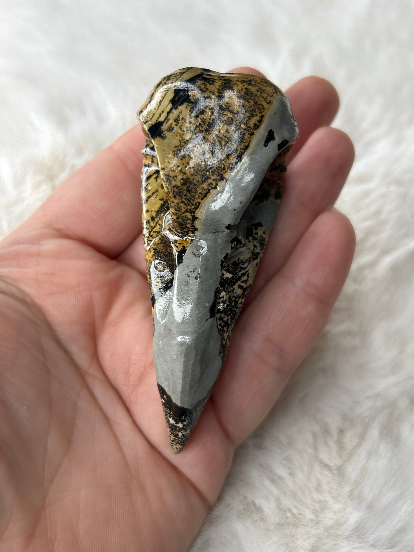 Picture Jasper Raven Skull